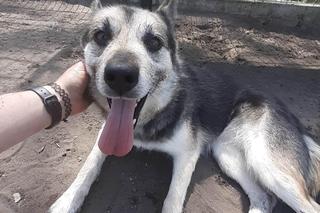 Mokka w COZ w Grudziądzu