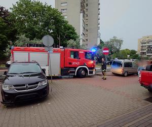 Powalone drzewo po burzy