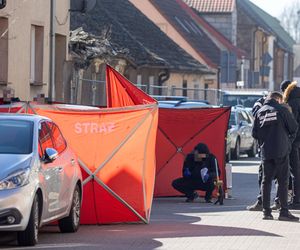 Dramat w Obrzycku. Były uczeń zabił nauczycielkę. Strzelał na oczach jej matki