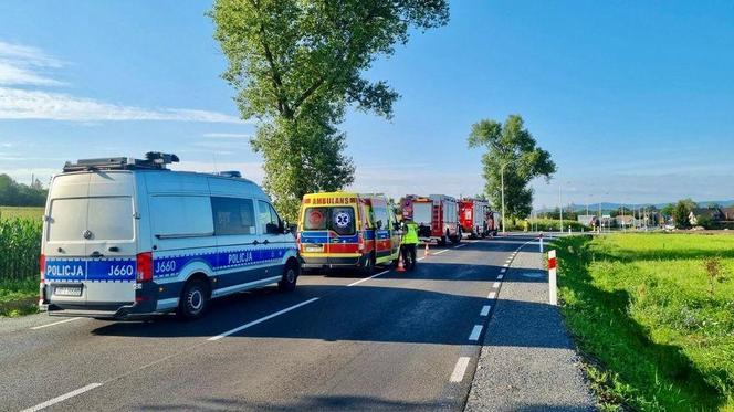 Kot spowodował wypadek samochodu na drodze. Stracił panowanie nad kierownicą