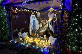 Świąteczne Las Vegas w Sieradzu zapiera dech w piersiach