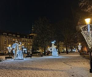 Gdańska choinka rozbłysła. Zobaczcie nasze zdjęcia!