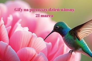 Gify na pierwszy dzień wiosny. Kolorowe obrazki do wysłania na miły początek dnia