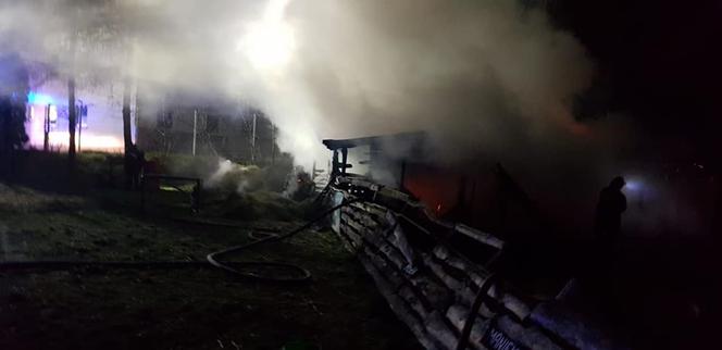 SZOK! Ktoś podpalił zagrodę? Wszystkie zwierzęta spłonęły żywcem