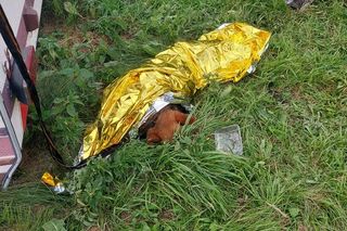 Uratowany z błota i samotności. Strażacy z Dłutowa pokazali wielkie serca