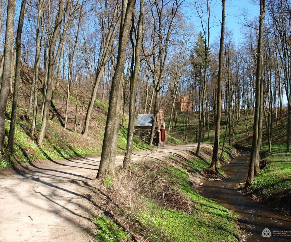 Malutką wieś nazywają Warmińską Jerozolimą. Przyciąga tłumy!