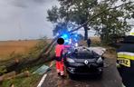 Drzewo runęło na auto z rodziną pod Świeciem! 47-latek nie miał szans tego przeżyć [ZDJĘCIA]