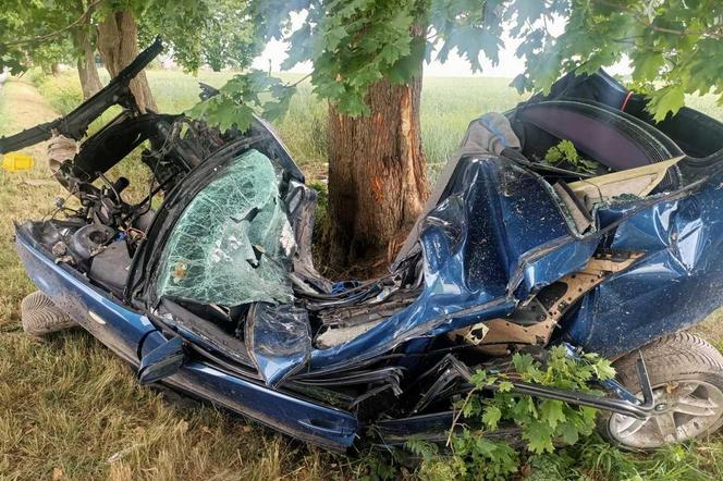 Lubelskie: BMW dosłownie zawinęło się na drzewie. Nie żyje młody mężczyzna