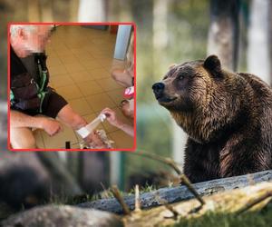 62-latek zaatakowany przez niedźwiedzia w Tatrach. Mężczyzna wymagał hospitalizacji