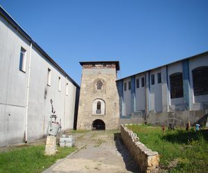 Kleszcze afrykańskie w Polsce