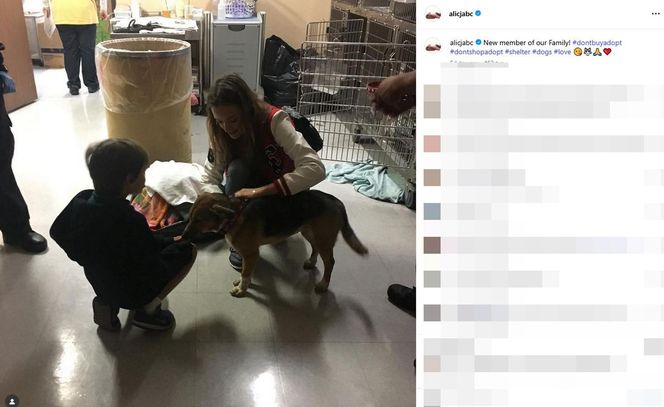 Alicja Bachleda-Curuś i Colin Farrell świętują urodziny syna