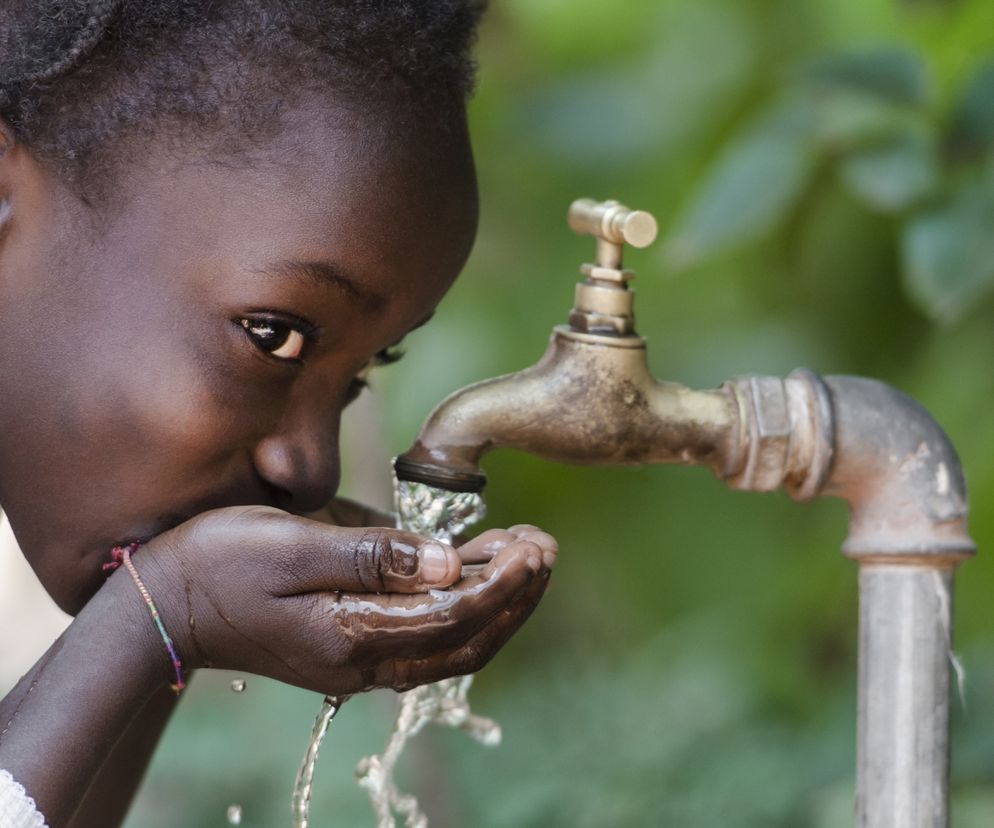 Gdzie żyje się najkrócej