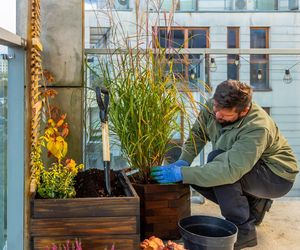 Jesienna metamorfoza balkonu