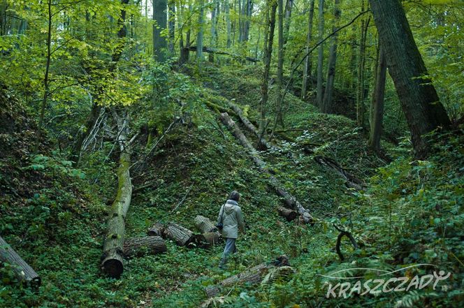 Kraszczady
