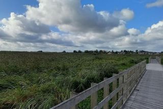 Kładka Śliwno-Waniewo