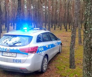 Tragiczny finał grzybobrania. Ciało 87-latki znalezione w lesie koło Piotrkowa Trybunalskiego