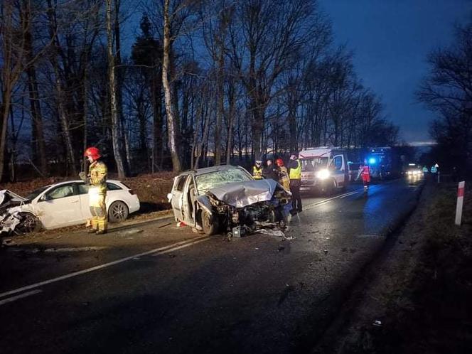 Wypadek pod Żarami