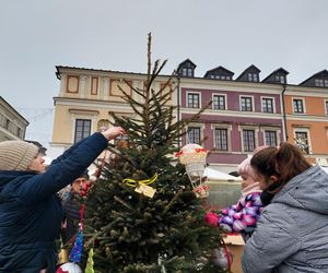  Zamojskie przedszkola i szkoły dekorowały choinki