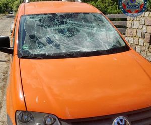 Zemścił się na byłym pracodawcy i zrobił demolkę