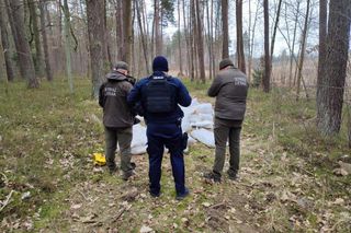 Setki martwych kur wyrzucone do lasu pod Nidzicą. Leśnicy w szoku!
