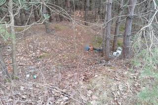 Policjanci pomogli porzuconemu w lesie psu