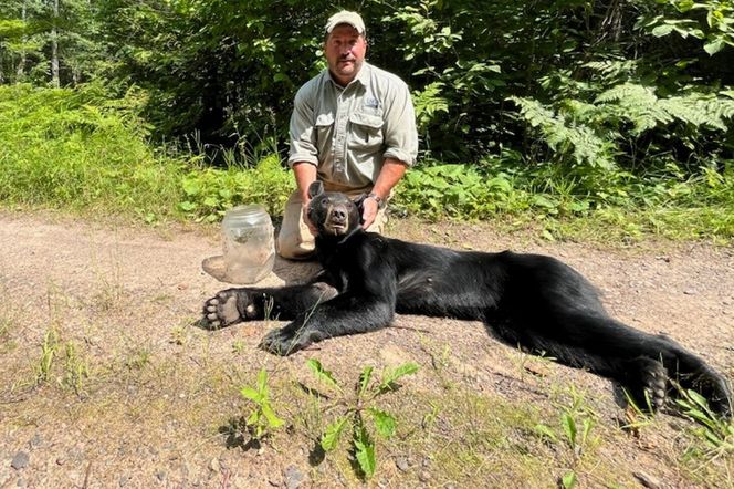  Niewiarygodne spotkanie z niedźwiedziem! Musisz to zobaczyć