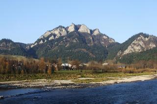 Niebieskie ślimaki można spotkać na górskich szlakach i nie tylko. Trwa prawdziwa inwazja!