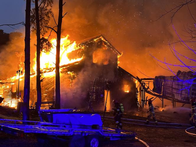 Pożar w stadninie koni w Warszawie