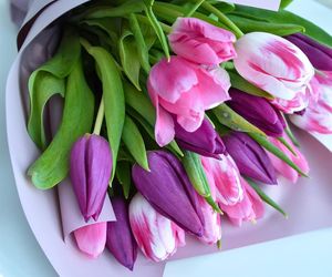 Życzenia na imieniny Krystyny 13.03.2025. Mamy darmowe wierszyki i rymowanki dla Krysi! Zobacz najlepsze propozycje [SMS, FACEBOOK]