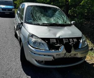 Wyprzedzała i staranowała rowerzystów. Kobieta zmarła w szpitalu, mężczyzna walczy o życie