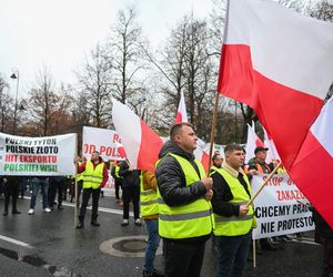 Protest plantatorów tytoniu w Warszawie (3.11.2025)