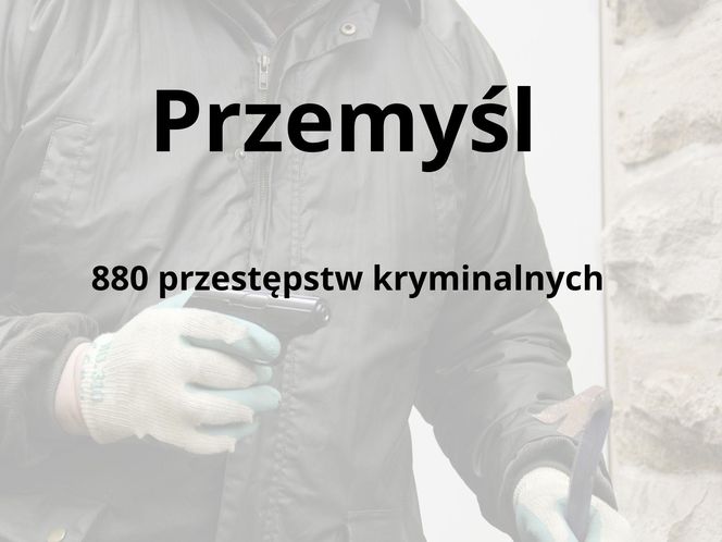 To tu na Podkarpaciu dochodzi do największej liczby przestępstw kryminalnych