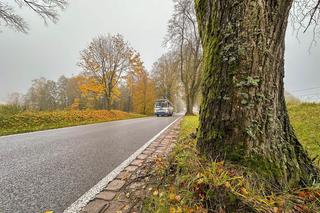 Pancerny Zbyszek miał furę szczęścia. Przysnąłem i palnąłem w drzewo
