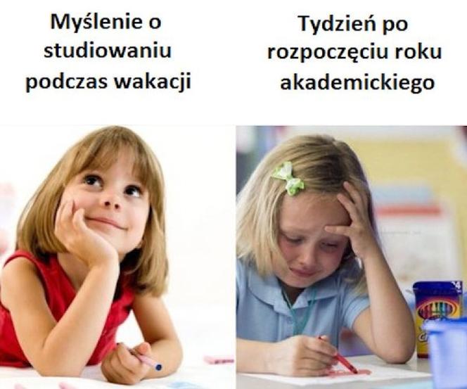 Tak studenci walczą o zaliczenie! Zobacz najlepsze MEMY o sesji!