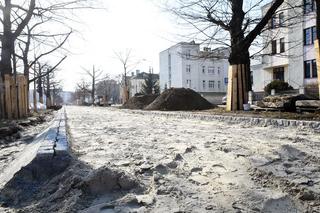 Spore zmiany na Alei Ossolińskich w Bydgoszczy. Będzie ścieżka rowerowa