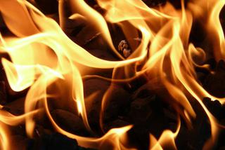 Pożar auta na DK7 w gminie Jedlińsk - Jedna osoba została ranna