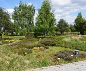 Ogród Botaniczny w Kielcach