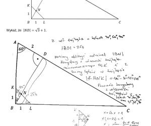 Matura 2023: matematyka rozszerzona. Arkusze CKE i odpowiedzi [Formuła 2015]