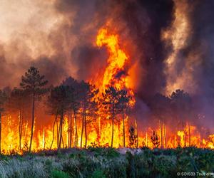  Upały i pożary zabiły tysiąc osób w Europie! Hiszpania i Portugalia płoną