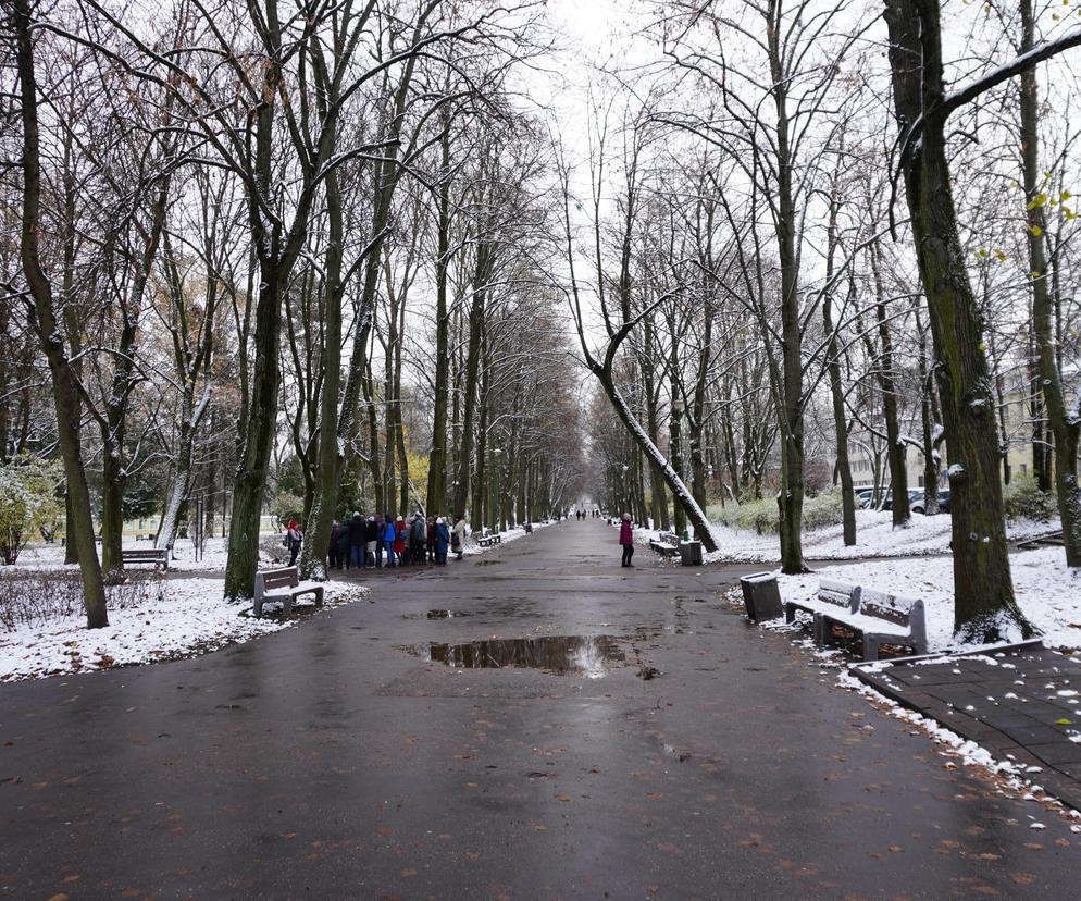 Białystok pod śniegiem. W mieście pojawiły się pierwsze świąteczne ozdoby