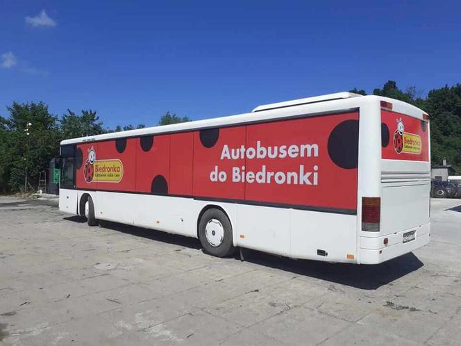 Biedronka wakacje