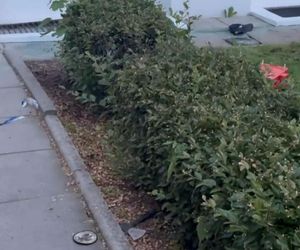 Zabójstwo na kampusie UW. Policja opublikowała wstrząsające nagranie. Pokazali wszystko