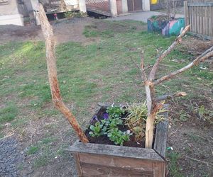 Muzeum Patyka w Toruniu