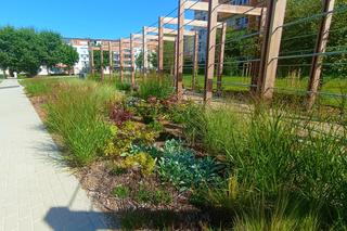 Psie Pole zmieniło się w osiedlowy park