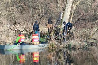 Z rzeki Regi w Płotach wyłowiono ludzkie szczątki