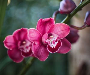 Życzenia imieninowe dla Zbigniewa. Znajdź inspirację, aby wyrazić swoje najlepsze życzenia dla Zbyszka