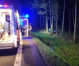 Dramatyczny wypadek w Kobiórze. 32-latka uderzyła w łosia, potem w drzewo