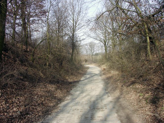 Gmina Brudzeń Duży nazywana jest Mazowiecką Szwajcarią