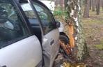 Tragedia w Wielkopolsce. Samochód rozbił się na drzewie 