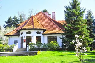 Festiwal Hanami w Powsinie. Celebruj wiosnę w japońskim stylu 